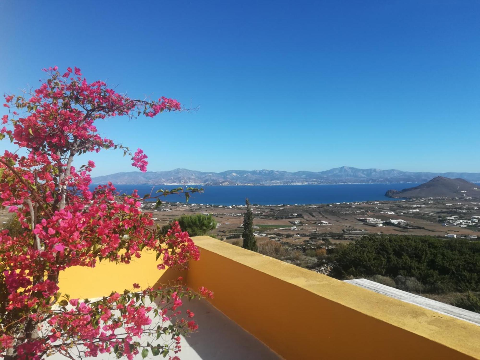 Bralos Villa - Paros, Sea View Kostos Εξωτερικό φωτογραφία